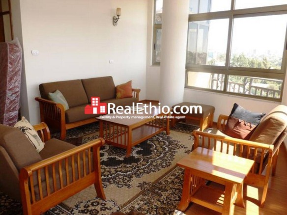 1 Bedroom furnished apartment for rent, Bole Wolosefer, Addis Ababa, Ethiopia.