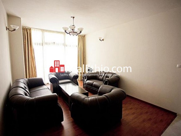 2 Bedroom Fully Furnished apartment for rent, Bole Mellinium hall, Addis Ababa, Ethiopia.