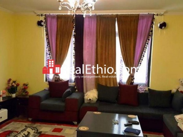 2 Bedrooms furnished apartment for rent, Addisu Gebeya, Addis Ababa, Ethiopia.