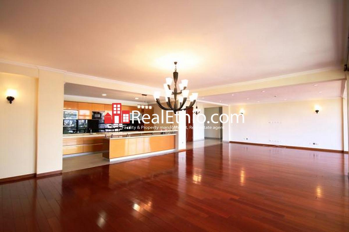 3 Bedrooms penthouses apartment for rent, Gotera or Wolo Sefer, Addis Ababa, Ethiopia.