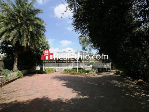 4 Bedrooms house or land for sale, Bole Olympia, Addis Ababa, Ethiopia.