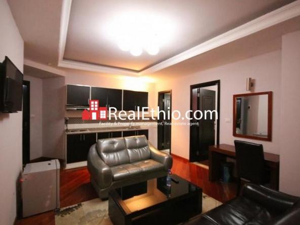 Biserate Gabriel fully furnished one bedroom apartment for rent, Addis Ababa