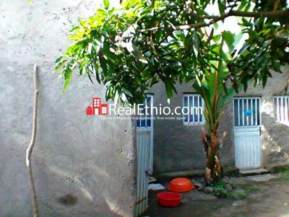 House for sale – Debrezeit Bishoftu, corner house for sale, Oromia.