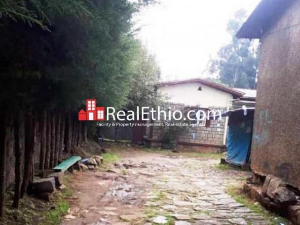 Kechene Medanialem, two bedrooms, old villa house for sale, Addis Ababa.