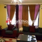 Addisu Gebeya, two bedrooms furnished apartment for rent, Addis Ababa