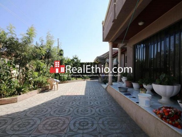 Alemgena, house for sale, 500 meter square, 3 bedrooms, Oromia.