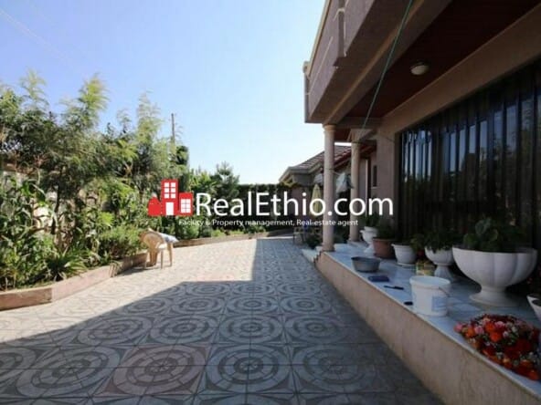 Alemgena, house for sale, 500 meter square, 3 bedrooms, Oromia.
