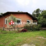 Aware, 4 bedrooms, house for rent, Addis Ababa.