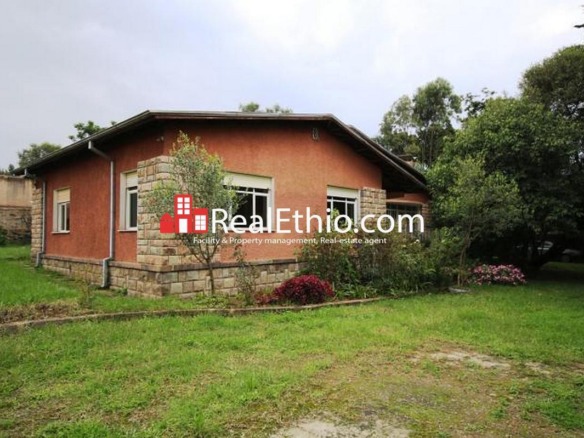 Aware, 4 bedrooms, house for rent, Addis Ababa.