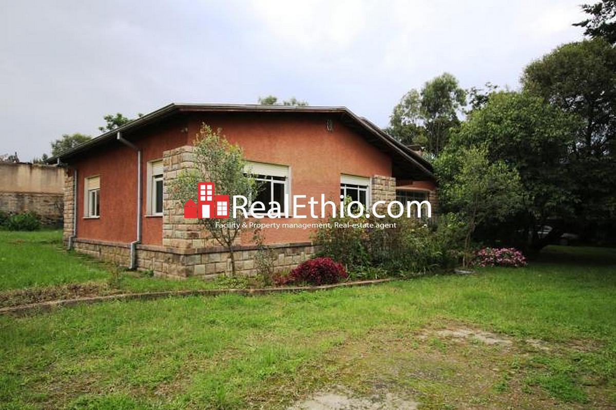 Aware, 4 bedrooms, house for rent, Addis Ababa. Aware, 4 bedrooms, house for rent, Addis Ababa.