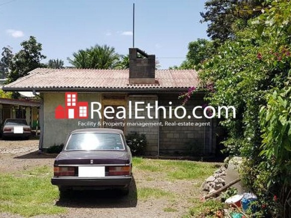 Aware or Arat Kilo, house for sale, Addis Ababa.