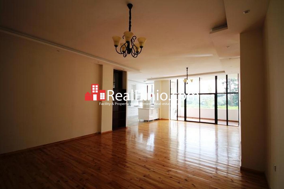 Bole Atlas, 2 Bedrooms apartment for rent, Addis Ababa, Ethiopia.