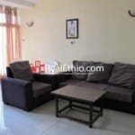 Bole Chechenia, Building for sale, 22 bed rooms, 250 meter square, furnished, 9 apartments, Addis Ababa.