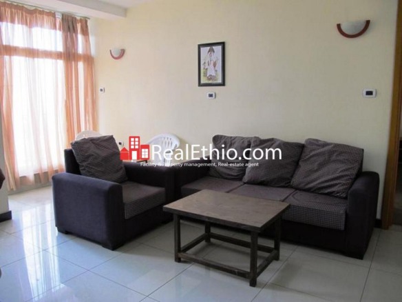 Bole Chechenia, Building for sale, 22 bed rooms, 250 meter square, furnished, 9 apartments, Addis Ababa.