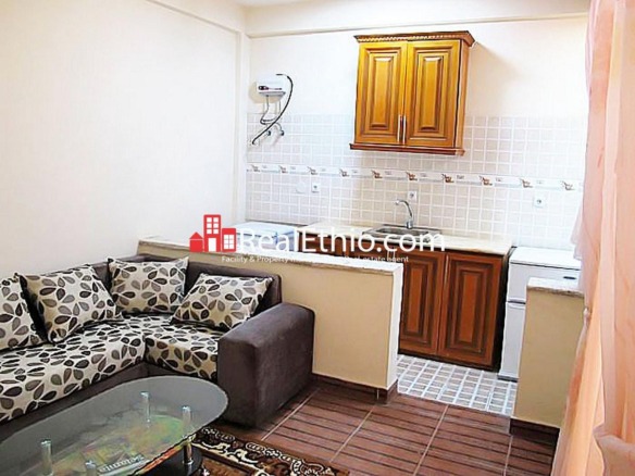 Bole Michael, one bedroom furnished apartment flat for rent, Addis Ababa, Ethiopia.