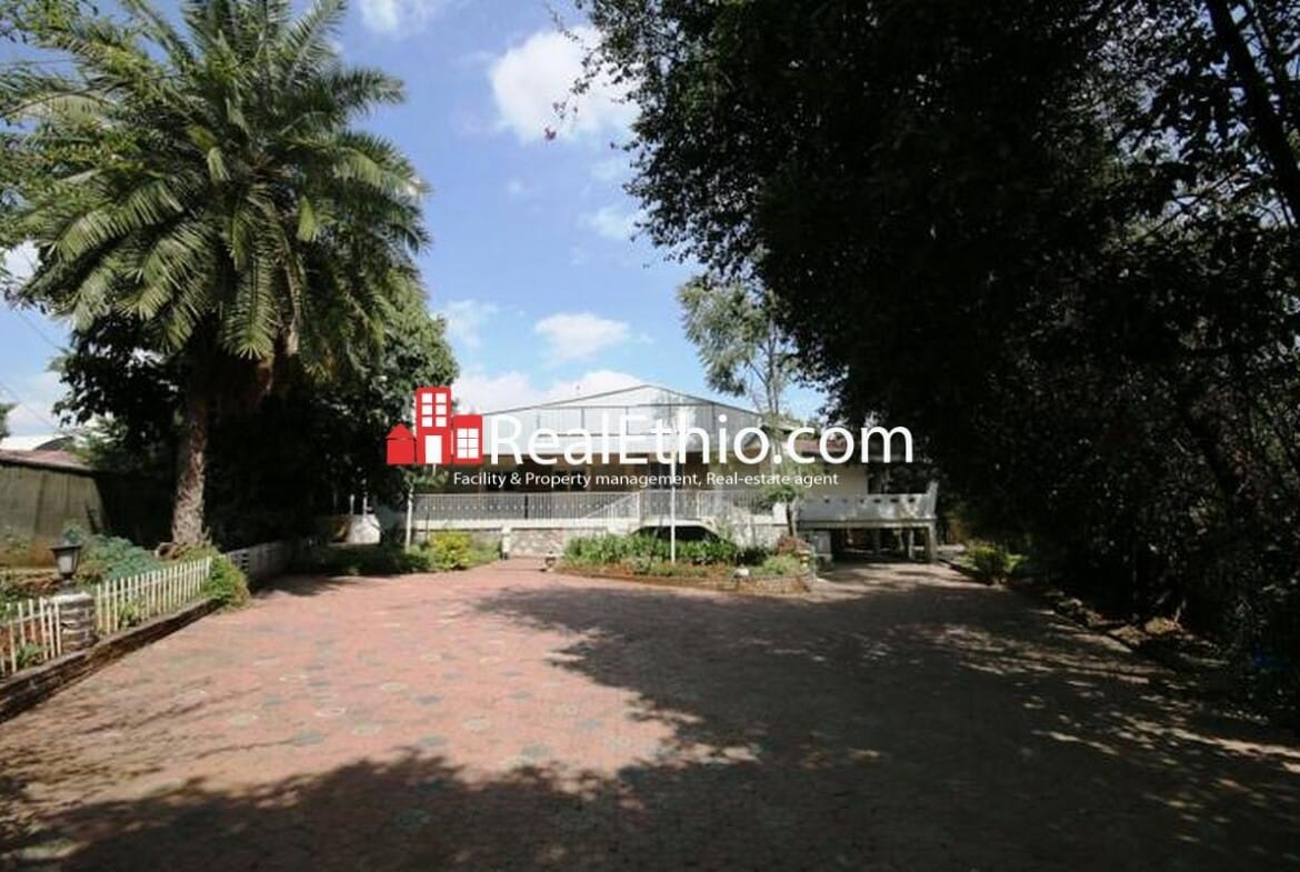 Bole Olompia, 4 bed rooms house for sale, 1288 meter square, Addis Ababa.