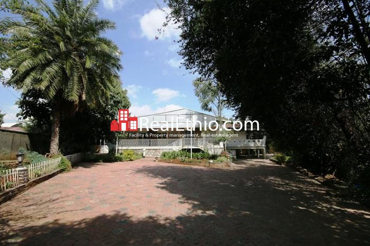 Bole Olompia, 4 bed rooms house for sale, 1288 meter square, Addis Ababa.