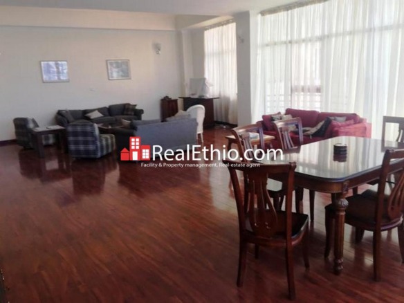 Bole Olompia, 4 bedrooms, duplex apartment for rent