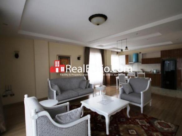 Bole Olompia, fully furnished two bedroom apartment for rent, Addis Ababa