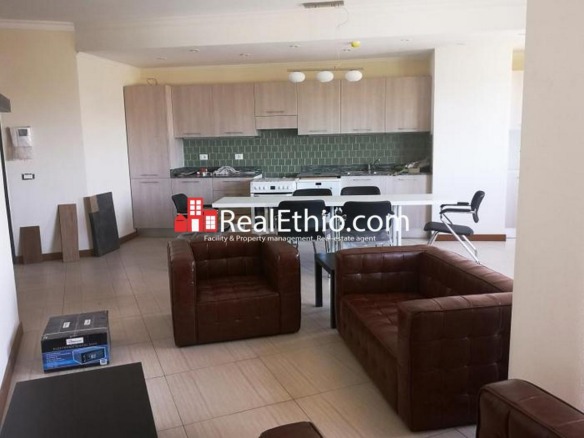 Bole Olompia, furnished hotel apartment for sale, Addis Ababa