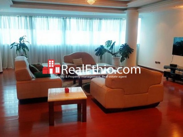 Bole, Well furnished luxurious apartment for rent, Addis Ababa Ethiopia.