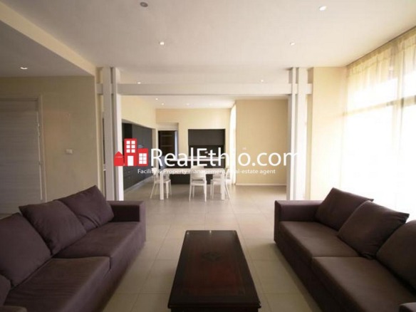 Bole Wolo sefer, 2 bedrooms furnished apartment for rent, Addis Ababa.