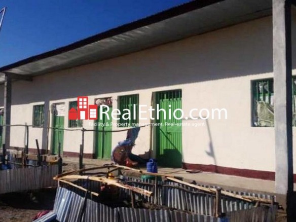 Chacha Sariti, plot of Land for sale on the main road, Amhara, Ethiopia.