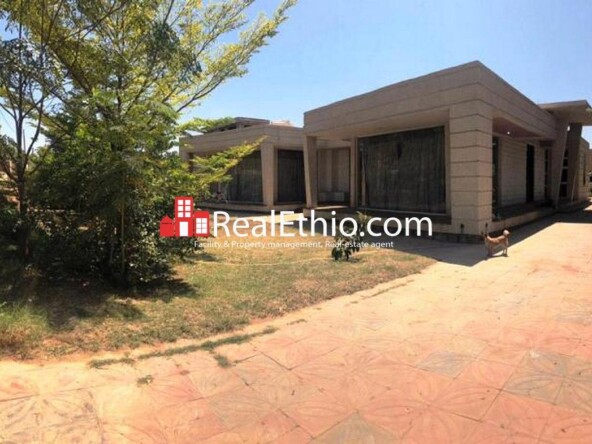 House for sale – Luxurious Villa in Dire Dawa for sale