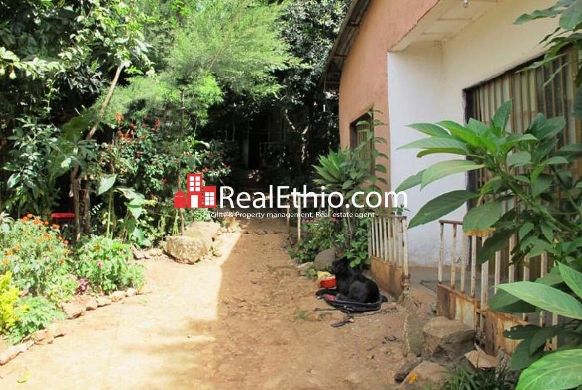 House for sale, Megenagna Top view, 500 meter square, 6 bed rooms, Addis Ababa.