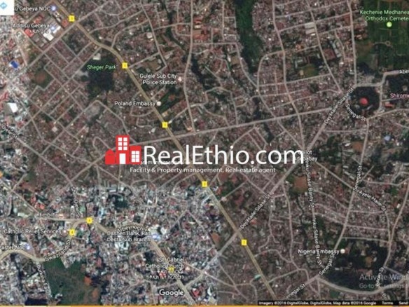 House for sale, Semien Mazegaja, 4,990 meter square, 10 rooms, Addis Ababa.