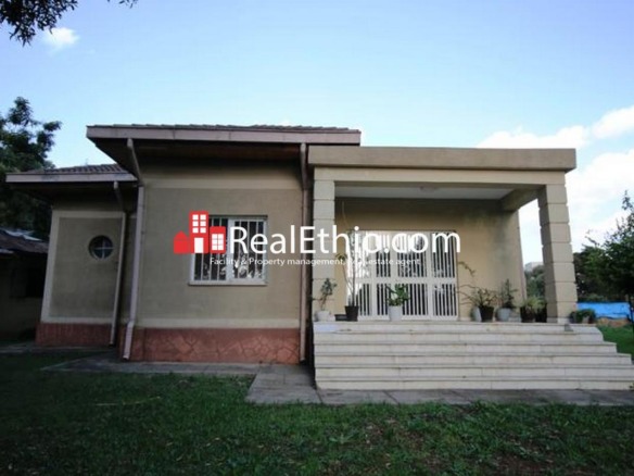 House for sale, Sidist Kilo, 1,373 meter square, 3 rooms, Addis Ababa.