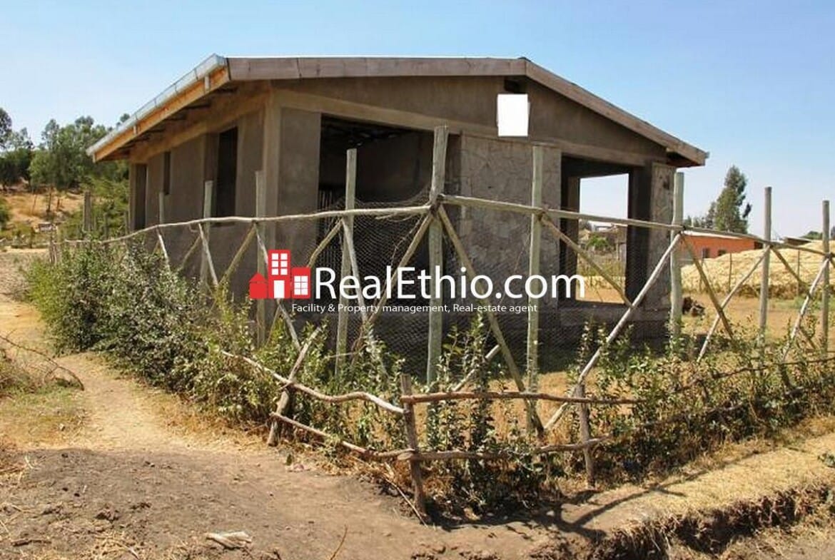 House for sale – Two bed room new unfirnished house on 500 meter square plot of land for sale at Bishoftu ( Debrezeit), Ethiopia