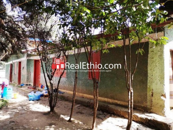 House or land for sale, Shiromeda, Addis Ababa, Ethiopia.