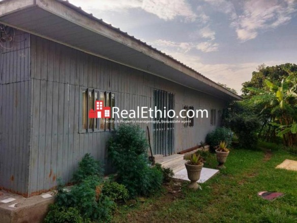 Kality, around Worku sefer, house for sale, Addis Ababa, Ethiopia