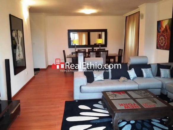 Kazanchis, 2 bedrooms furnished apartment for rent, Addis Ababa, Ethiopia