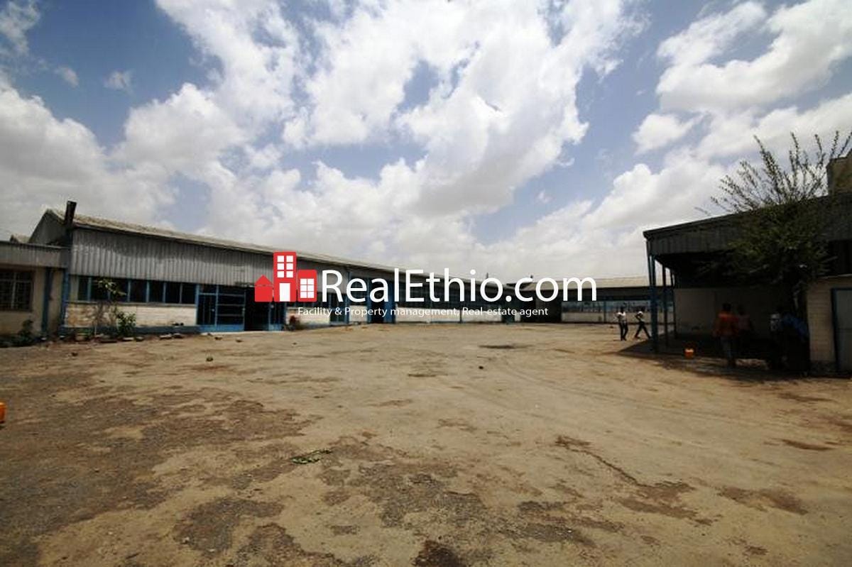 Kera, 3700 meter square plot size store for rent, Addis Ababa.