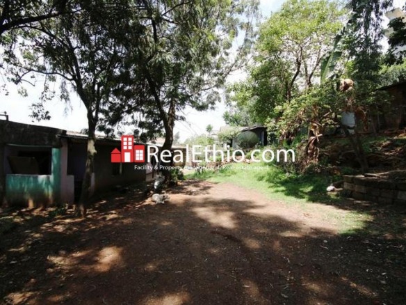 Megenagna Top view, 774 meter square 2 bed room house for sale, Addis Ababa.