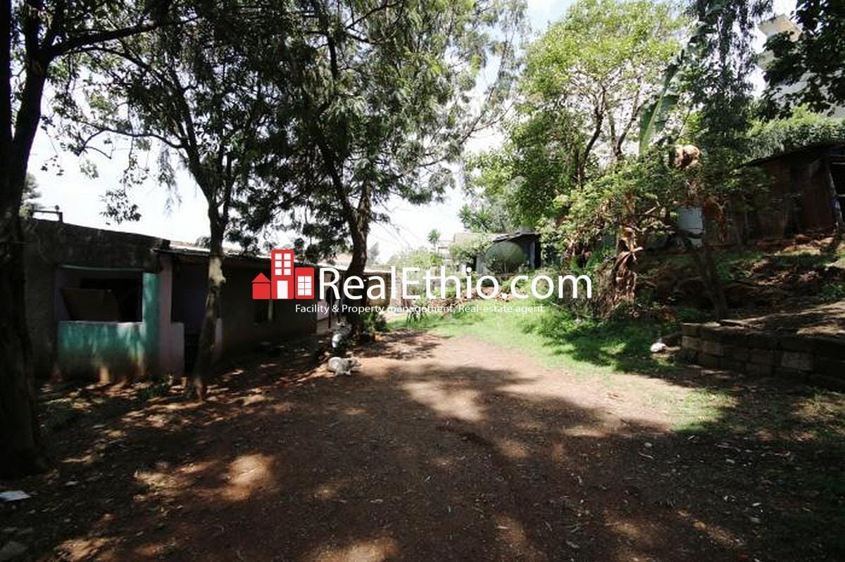 Megenagna Top view, 774 meter square 2 Bedrooms house for sale, Addis Ababa.