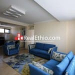 Meskel Flower, 2 bed rooms furnished and serviced apartment for rent, Addis Ababa.