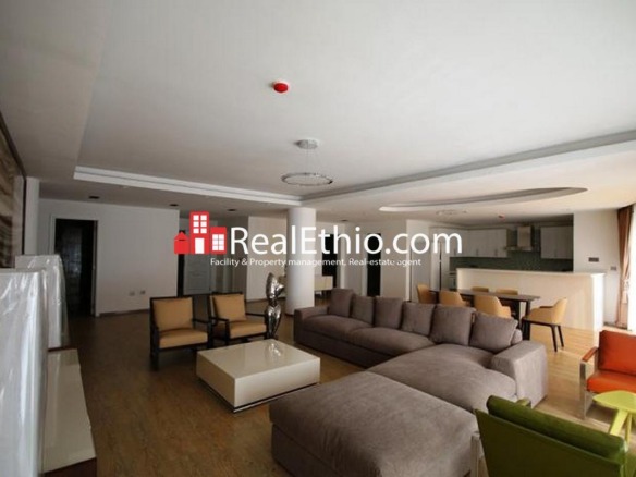 Meskel Square, three bedrooms furnished penthouse apartment for rent, Addis Ababa.