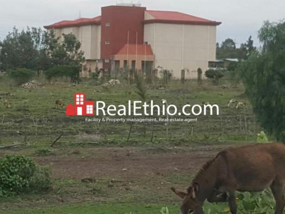 Plot of Land for sale - Mojo, 82,000 meter square Land For Sale, Oromia.