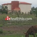 Plot of Land for sale – Mojo, 82,000 meter square Land For Sale, Oromia.