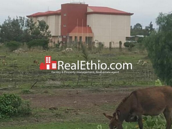 Plot of Land for sale – Mojo, 82,000 meter square Land For Sale, Oromia.