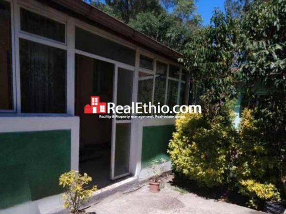 Sarbet, 2 bedrooms furnished house for rent, Addis Ababa.