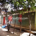 Shiromeda, old mud house for sale, Addis Ababa