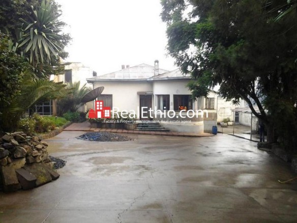 Siddist kilo Afinchober, two houses for sale, Addis Ababa. 