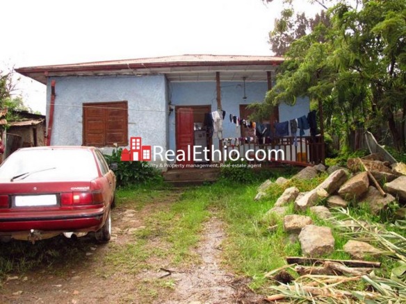 Sidist Kilo, 4 Bedrooms old villa house on 670 meter square plot of land for sale, Addis Ababa, Ethiopia.