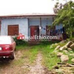 Sidist Kilo, 4 bedrooms old villa house on 670 meter square plot of land for sale, Addis Ababa, Ethiopia.