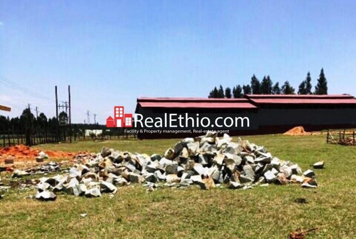 Store for sale – Store for sale, Addis Alem, 11,800 meter square plot, 700 meter square store, Industry zone, Ethiopia.