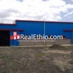 Store for sale – Store or Factory for sale, Sendafa, 5,000 meter square plot, 1,400 meter square shade, Ethiopia.